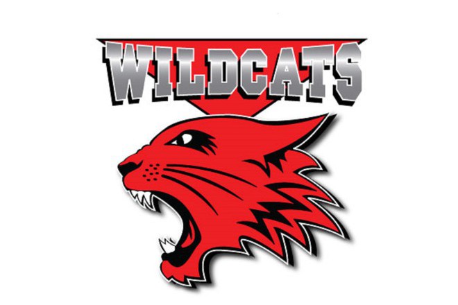 High School Musical Wildcats Logo.