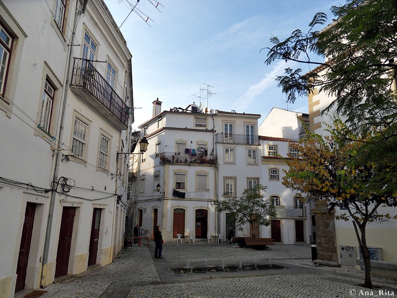 Quinta de Cabriz, Portugal 2019.