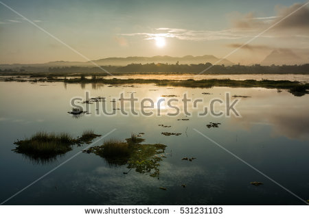 Korkusung's Portfolio on Shutterstock.