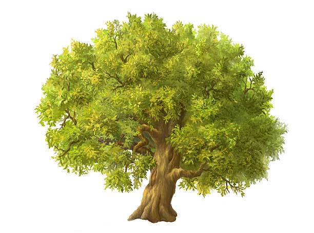 huge tree clipart 10 free Cliparts | Download images on Clipground 2021