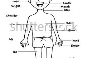 human body black and white clipart 10 free Cliparts | Download images