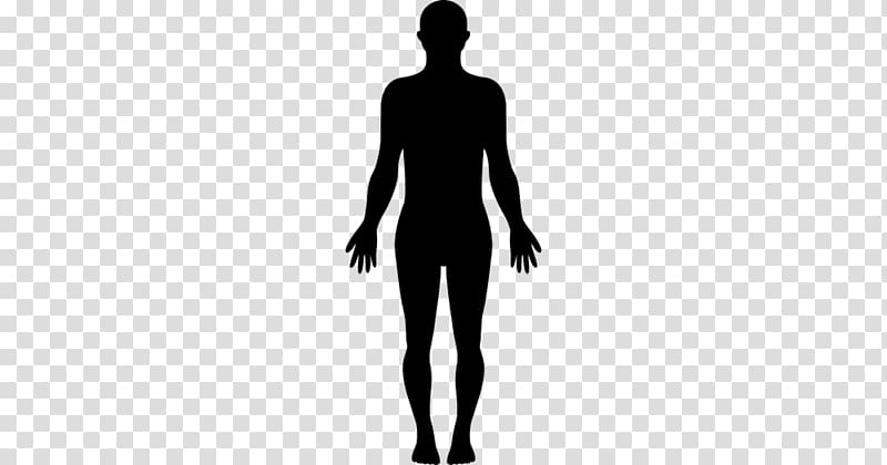 Human body Silhouette Homo sapiens Drawing, Silhouette.