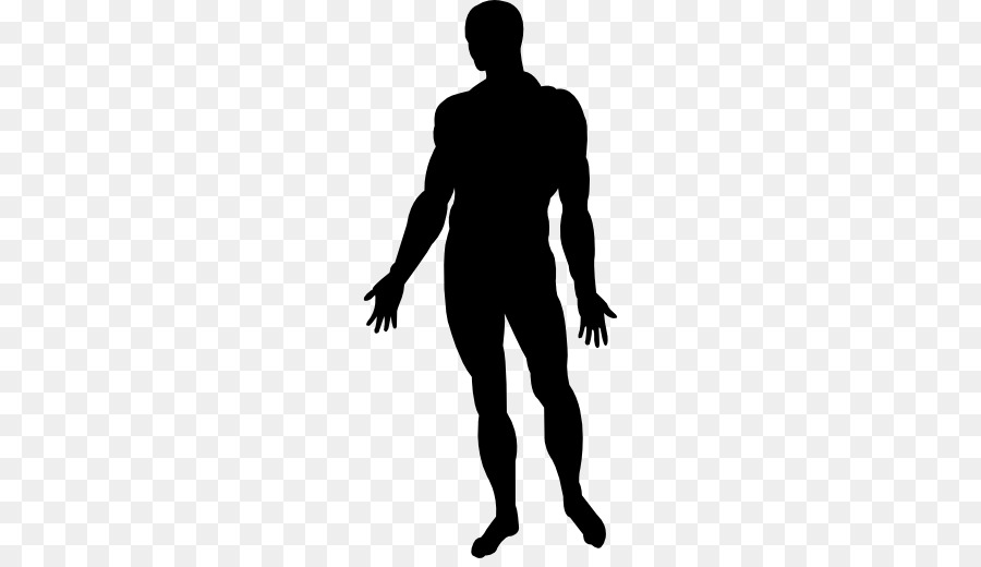 Human Body Silhouette Png.