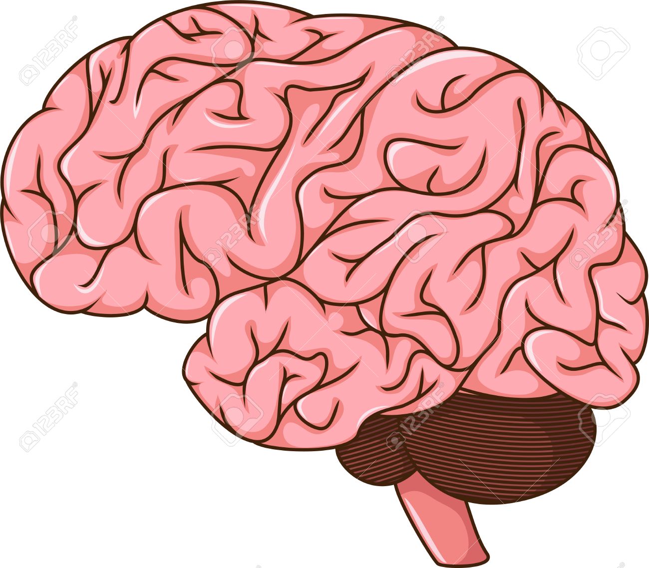 Download Free png Human Brain Cartoon Royalty Free Cliparts.