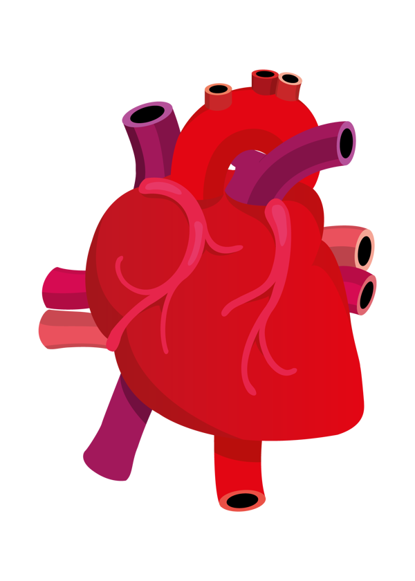 human heart clipart png 20 free Cliparts | Download images on