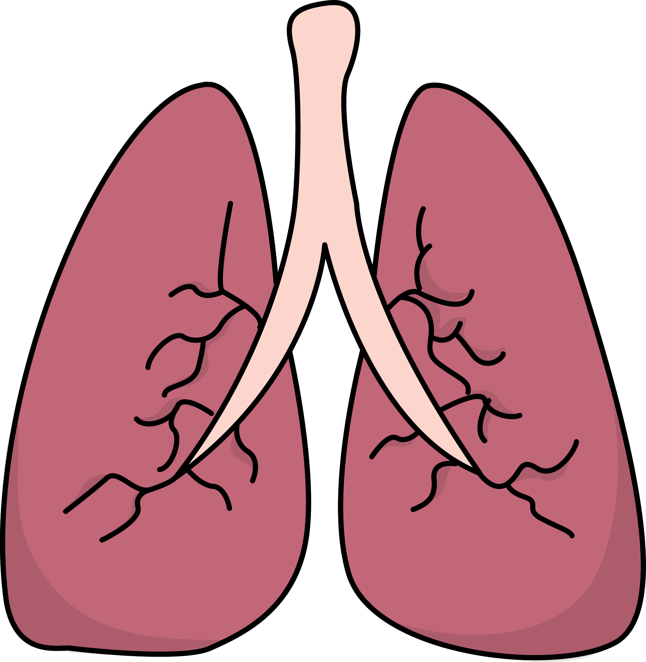 Lungs clipart 20 free Cliparts | Download images on Clipground 2022