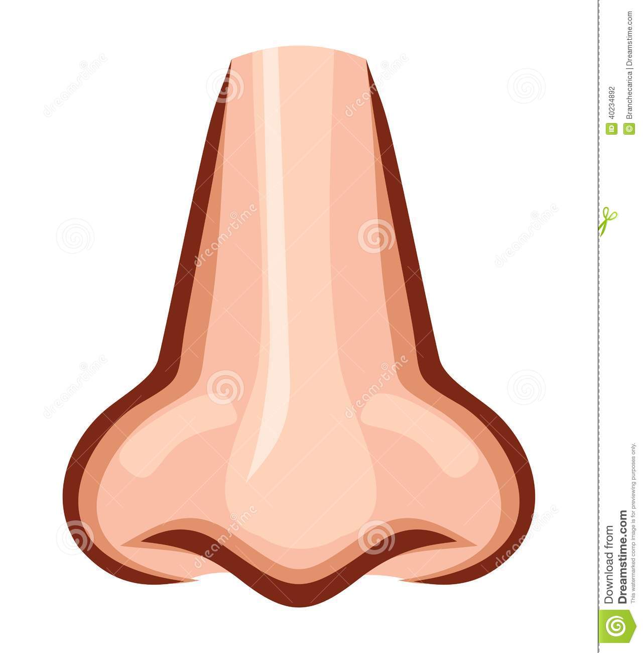 Human nose clipart for kids 3 » Clipart Station.