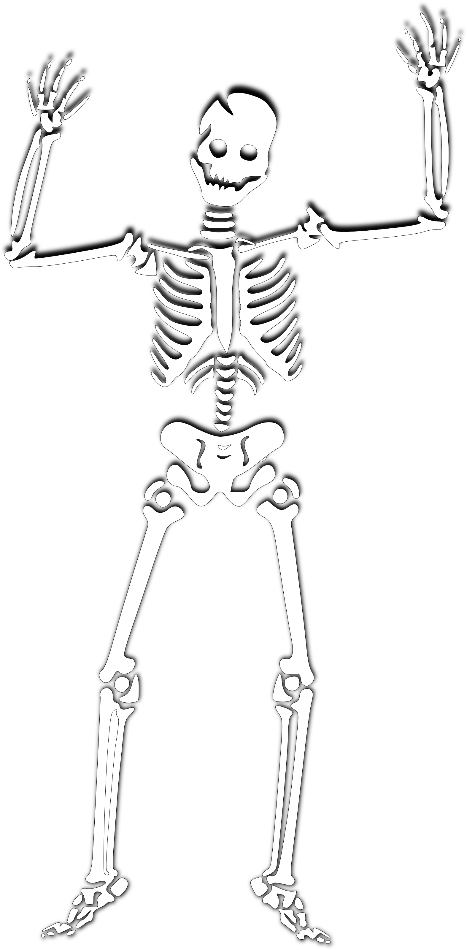 Skeleton Clip Art & Skeleton Clip Art Clip Art Images.