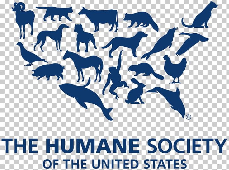 The Humane Society Of The United States Organization Animal.