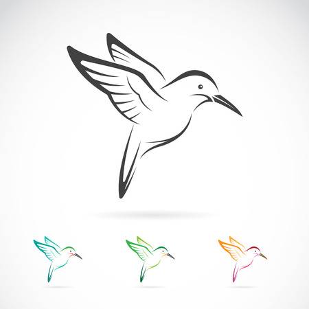 humming bird clip art 10 free Cliparts | Download images on Clipground 2024
