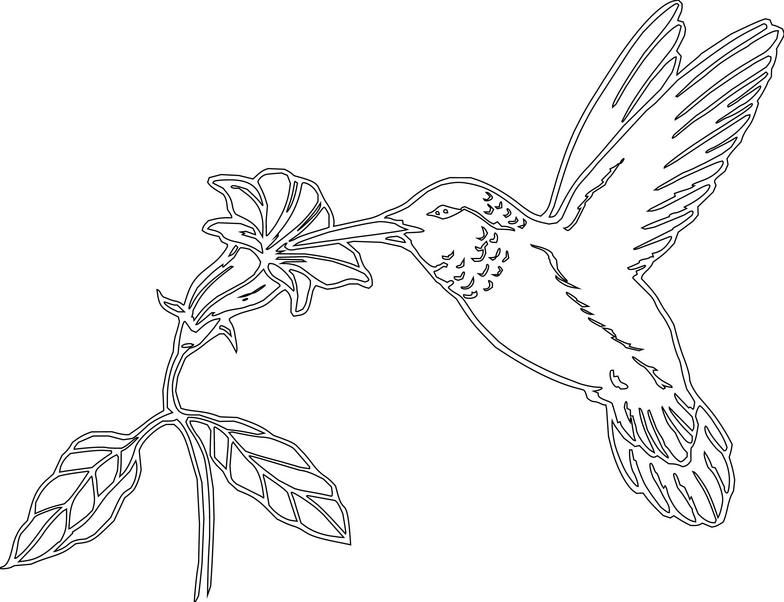 hummingbird clipart black and white free 10 free Cliparts | Download