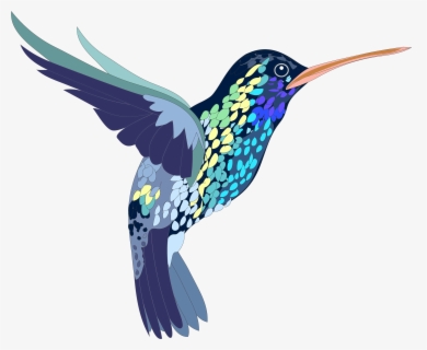 Free Hummingbird Clip Art with No Background.