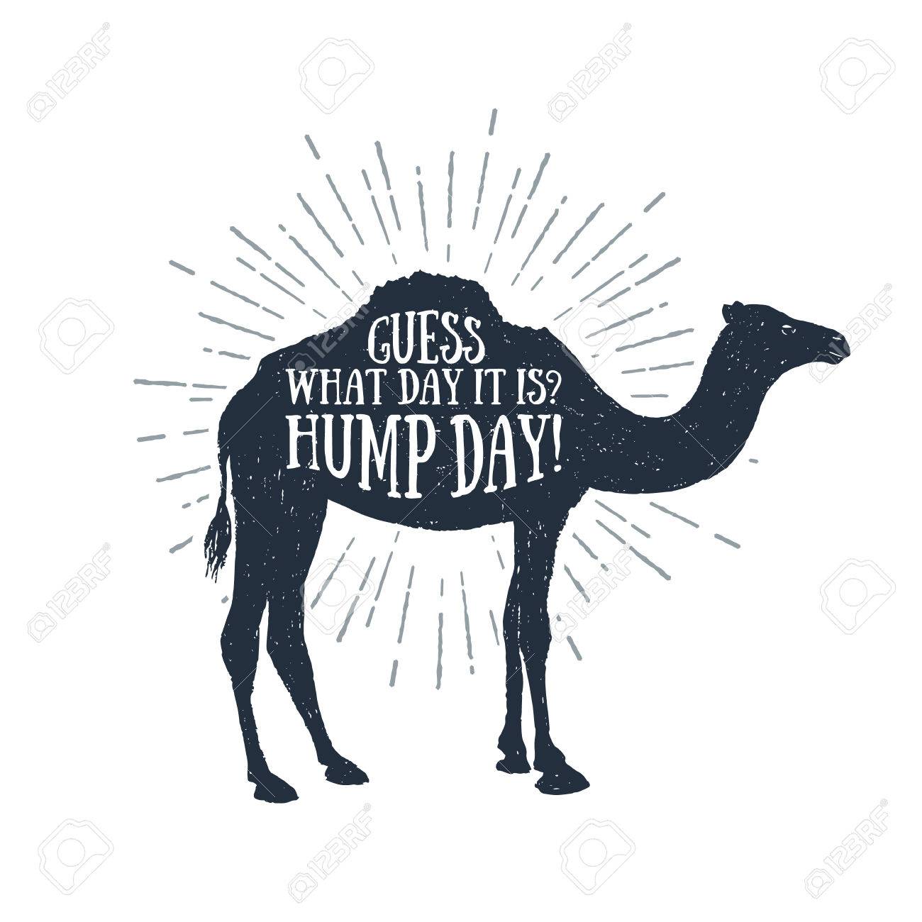 hump day camel clipart 10 free Cliparts | Download images ...