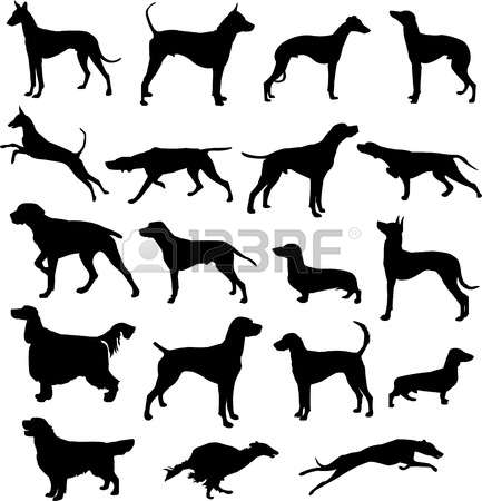 583 Setter Cliparts, Stock Vector And Royalty Free Setter.