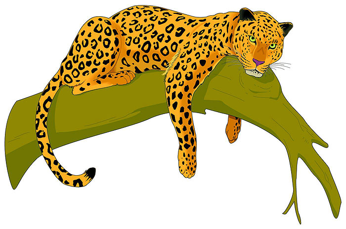 Hunting Leopard Clipart.