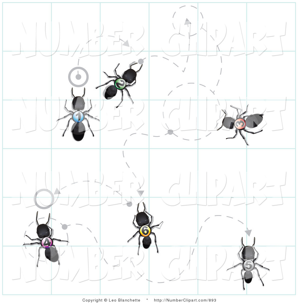 Royalty Free Hymenoptera Stock Number Designs.