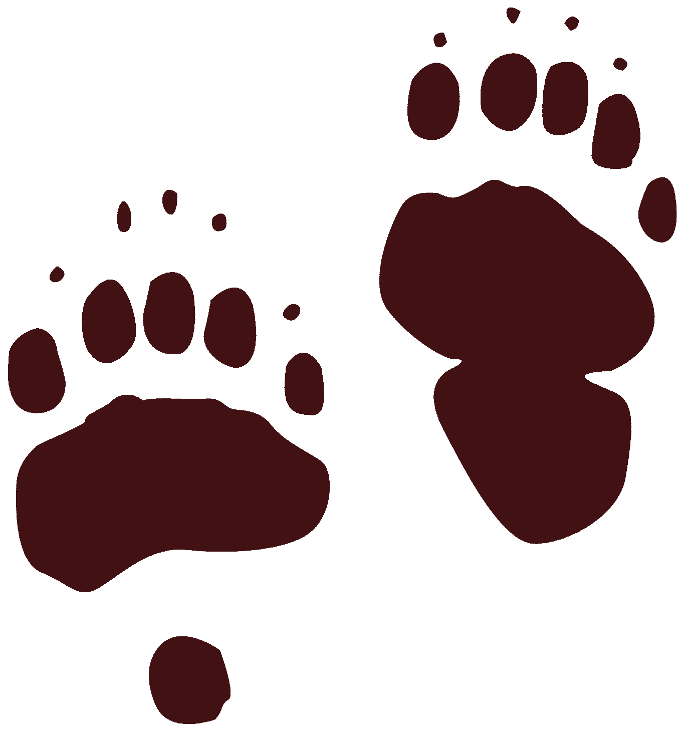 Bear tracks clip art clipart images gallery for free.
