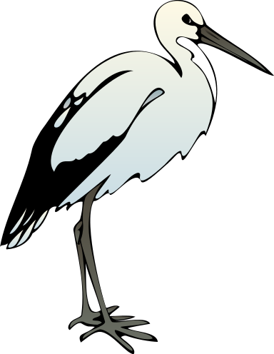 ibis clip art.