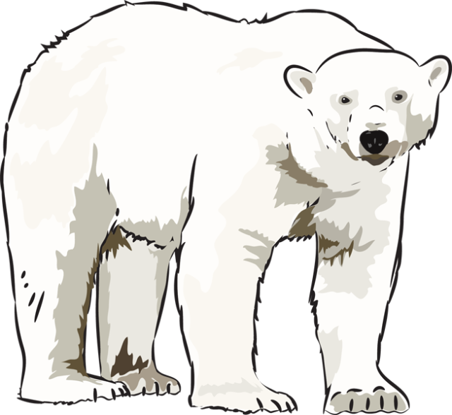 Polar Bear Clip Art & Polar Bear Clip Art Clip Art Images.