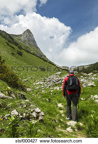 Picture of Austria, Tyrol, Allgaeu High Alps, Nature Reserve Hoher.