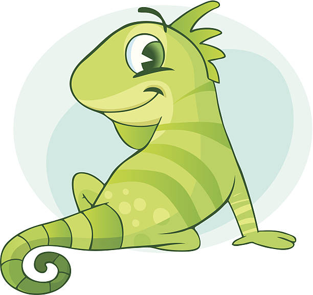 Best Iguana Illustrations, Royalty.