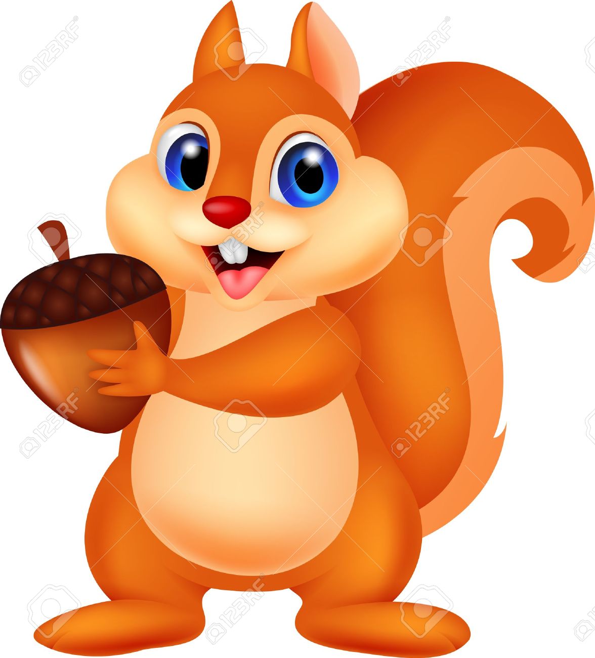 cartoon squirrel