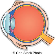 Cross section Clipart and Stock Illustrations. 6,585 Cross section.