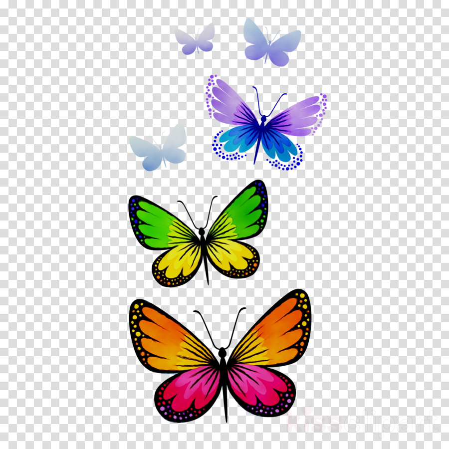 Butterfly Illustration clipart.