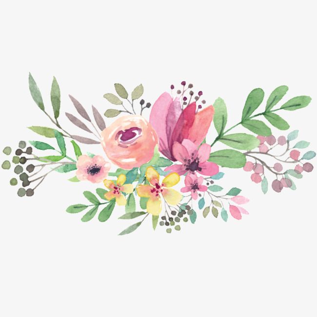 Flowers, Clipart, Hand Painted PNG Transparent Image and.