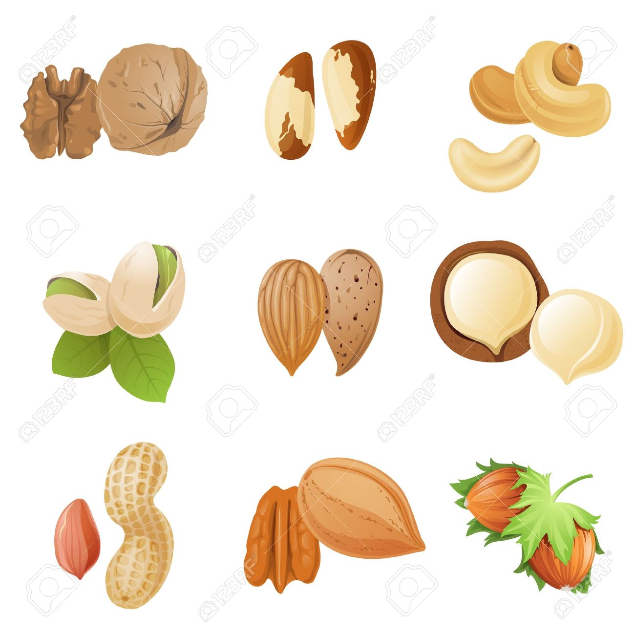 images of nuts clipart the food 20 free Cliparts | Download images on ...