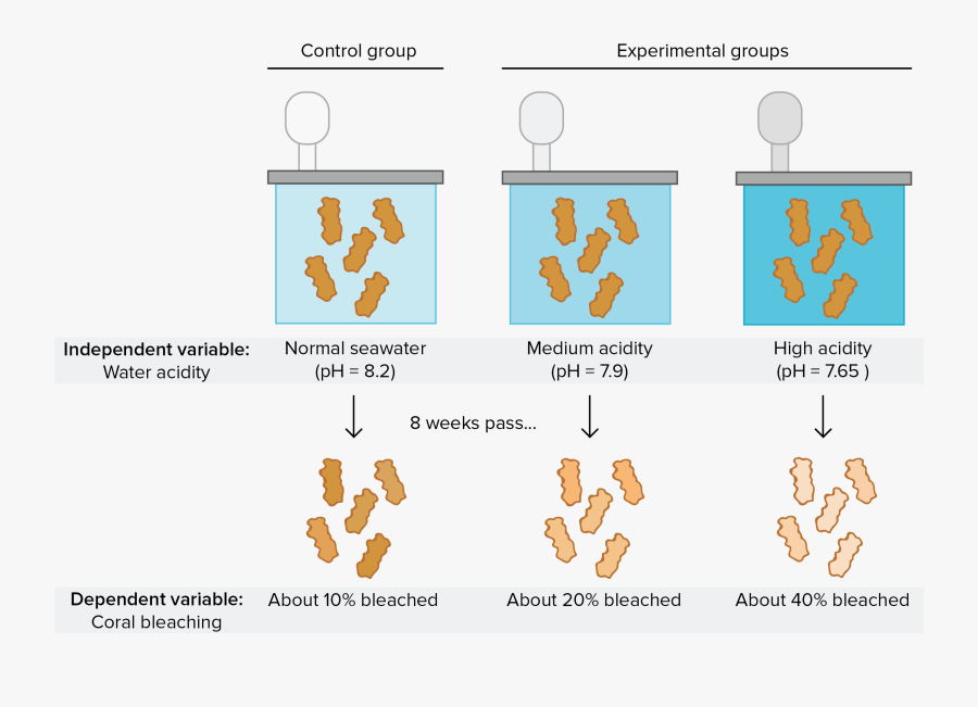 Introduction To Experimental Design.