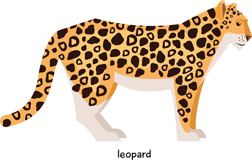 Indian leopard clipart - Clipground