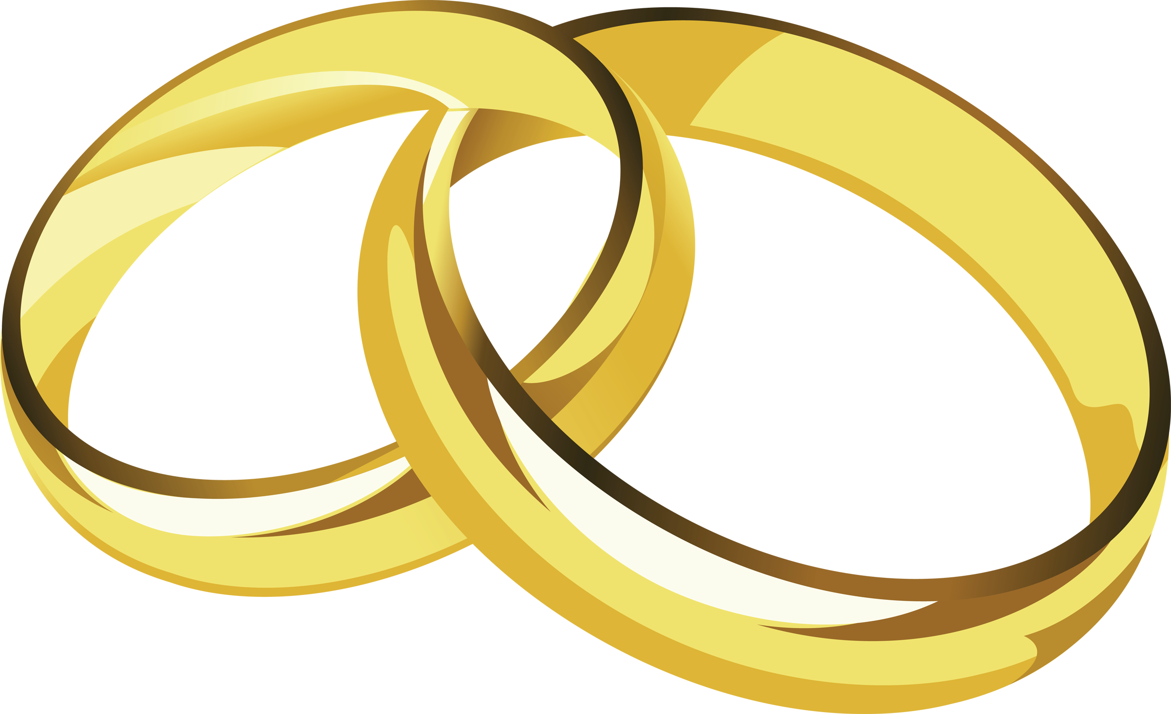 Two Wedding Rings Png.