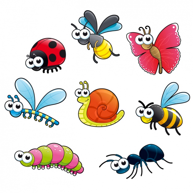 Insect Clipart For Kids.