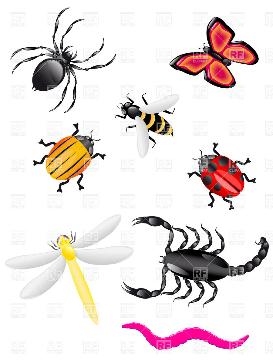 Bugs and insects clipart kid 3.