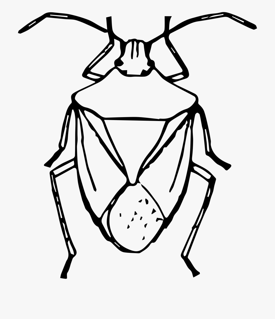 Insect Clipart Easy.