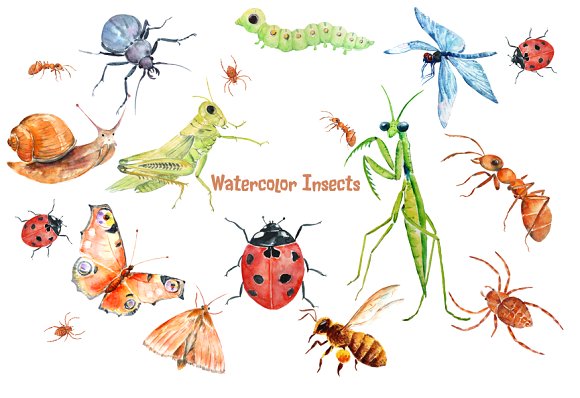 Insect market clipart 20 free Cliparts | Download images on Clipground 2024