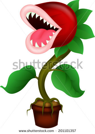 Carnivorous Plant Stock Images, Royalty.