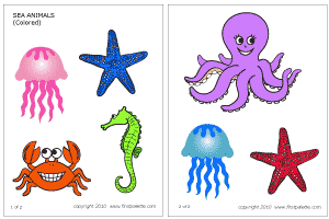 Invertebrate For Kids Clipart.