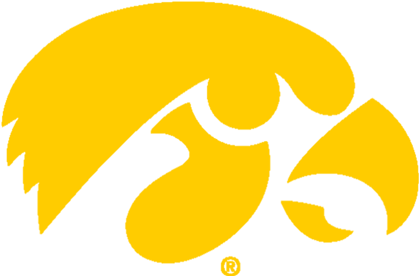iowa hawkeye mascot clipart 20 free Cliparts | Download images on