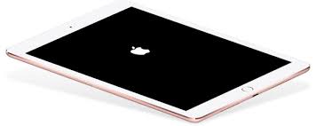 iPad Stuck on Apple Logo? Here\'s How to Fix It!.