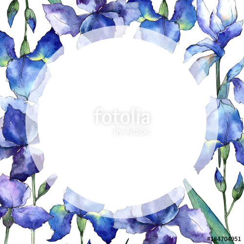 Wildflower iris flower frame in a watercolor style isolated.