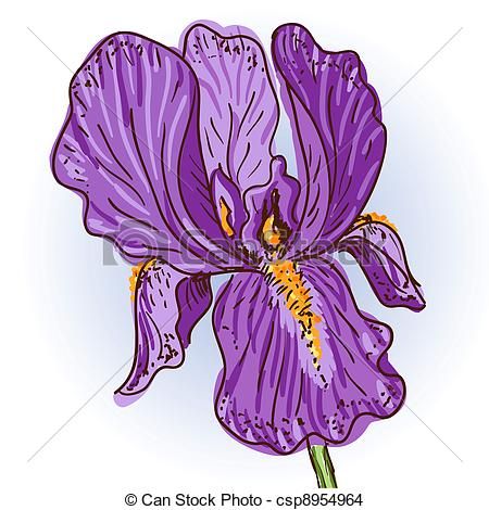 17 Best images about Iris on Pinterest.
