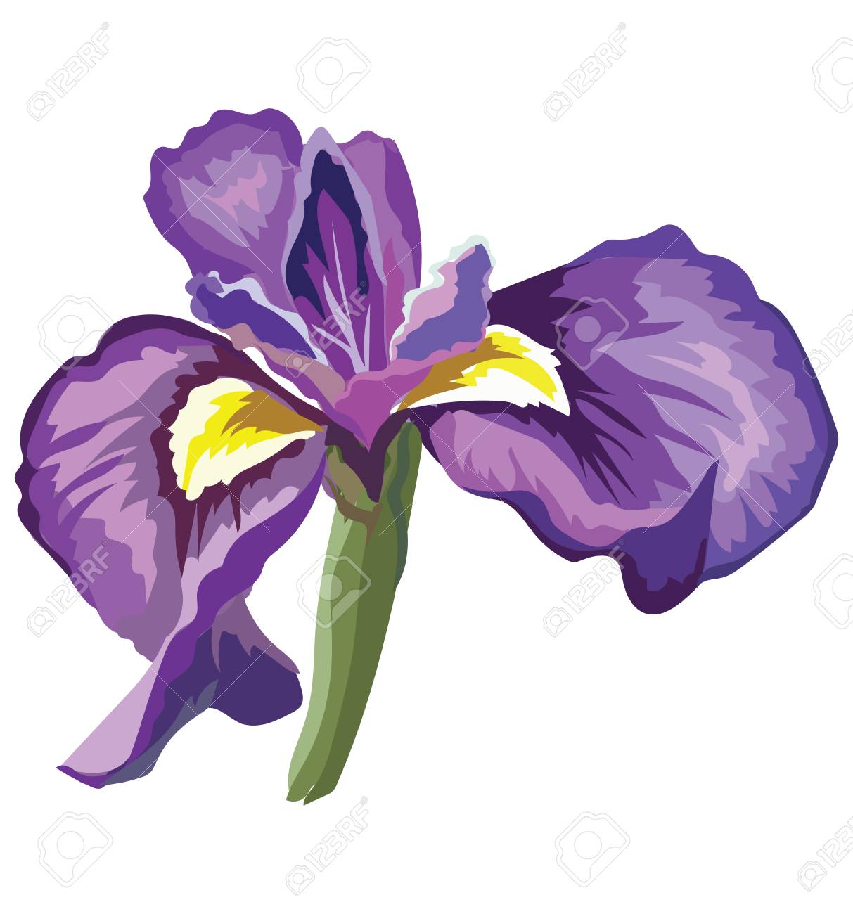 Free Free 344 Iris Flower Svg SVG PNG EPS DXF File