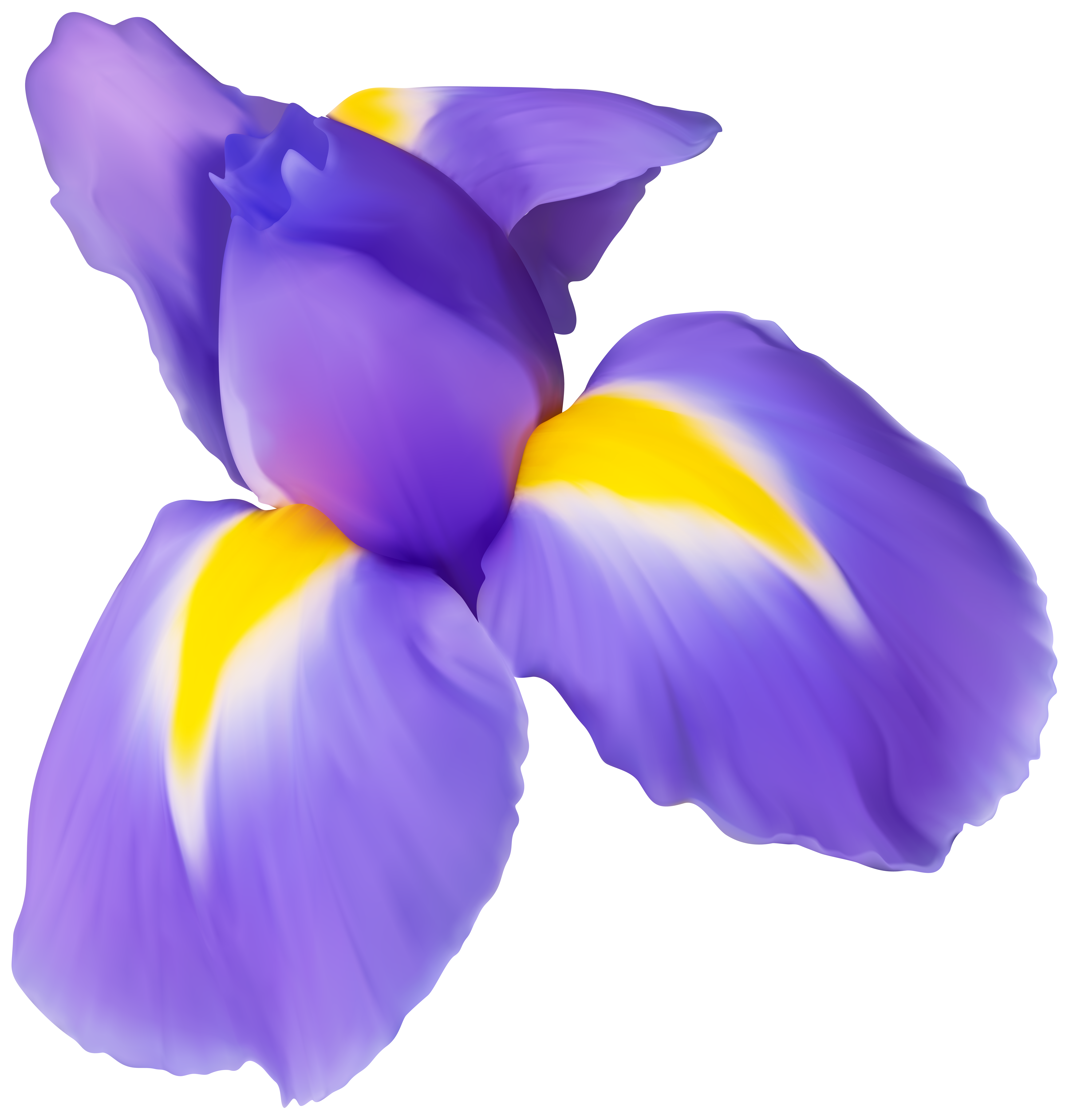 Purple Iris Flower PNG Clip Art Image.