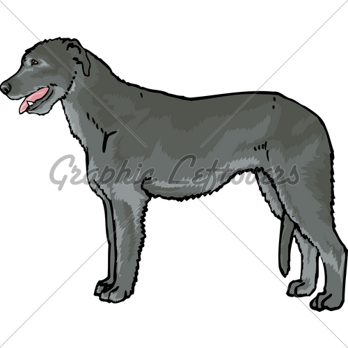 Download Irish wolfhound clipart 20 free Cliparts | Download images on Clipground 2021