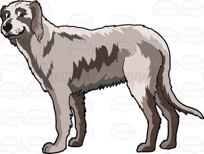 Irish wolfhound Cartoon Clipart.