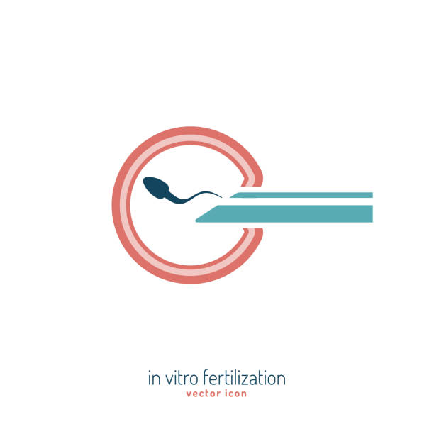 Best Ivf Illustrations, Royalty.