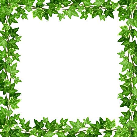ivy border clipart 10 free Cliparts | Download images on Clipground 2024