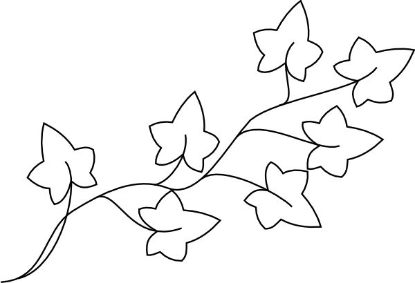 Ivy Leaves Clipart 20 Free Cliparts Download Images On Clipground 2022